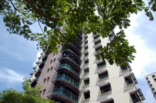 Blk 650 Senja Link (Bukit Panjang), HDB 5 Rooms #220452
